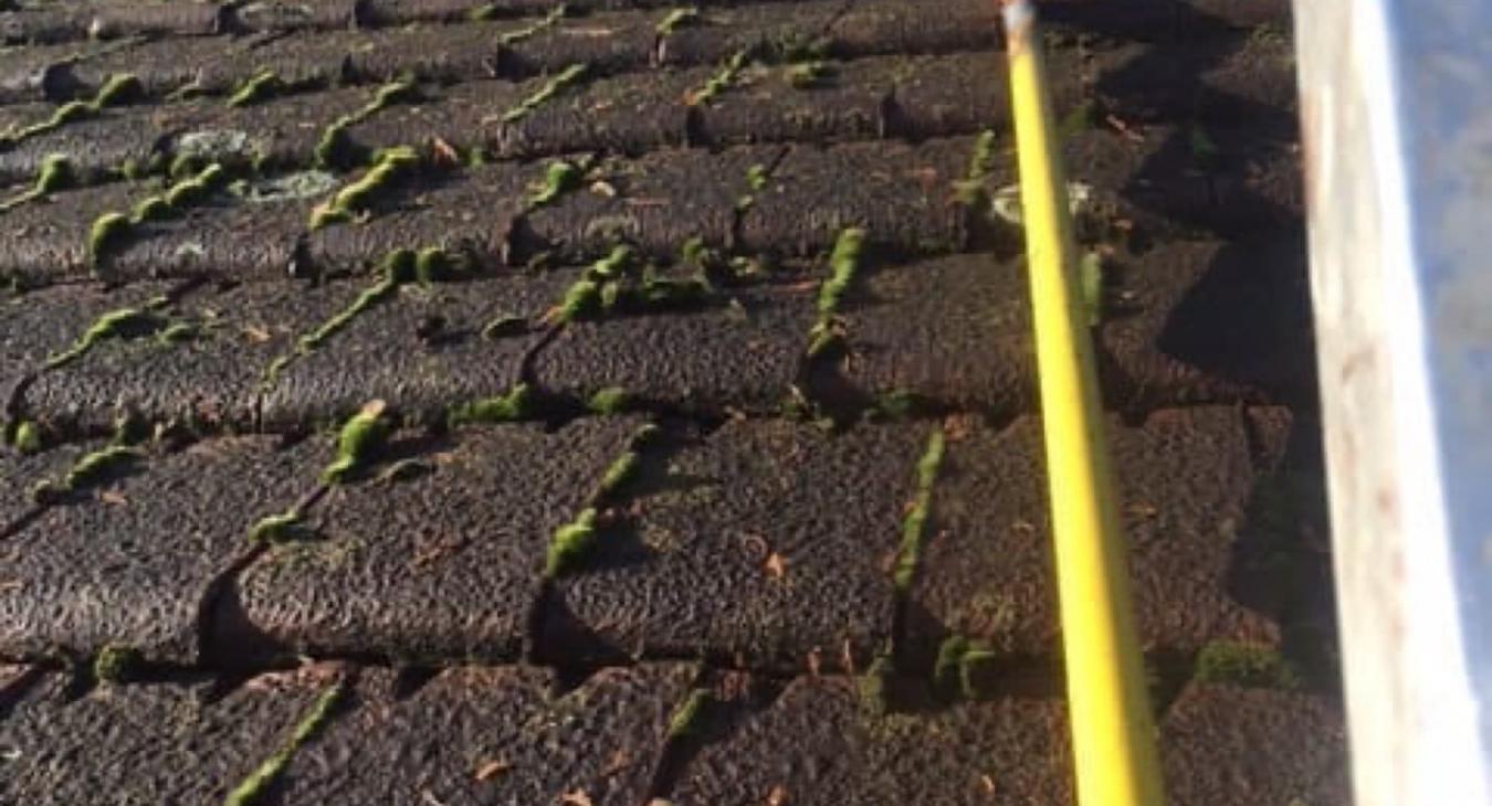 Nettoyage Démoussage Toiture 77 Seine et Marne