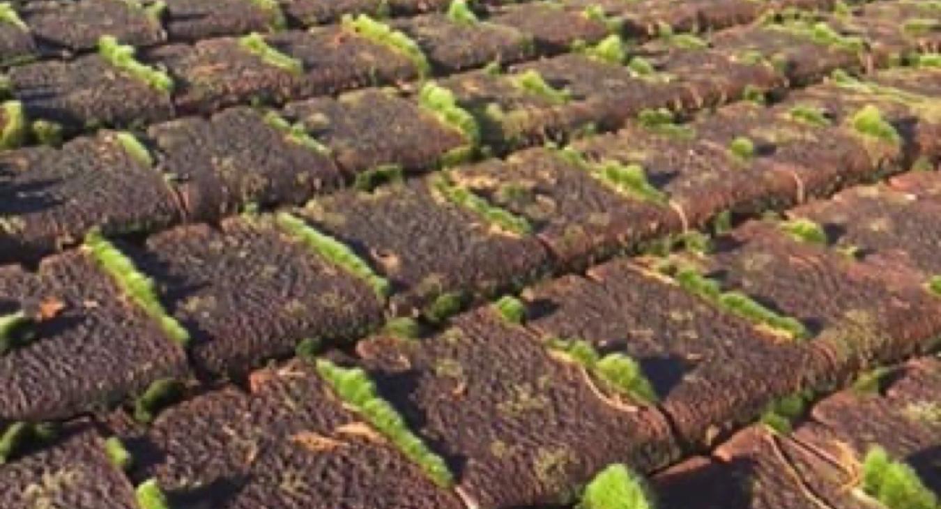 Nettoyage Démoussage Toiture 77 Seine et Marne